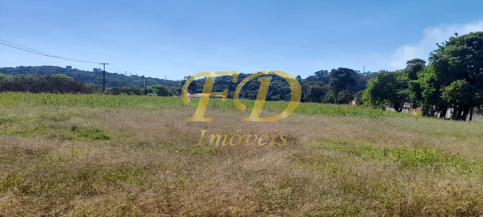 Prédio Inteiro - Foto 5