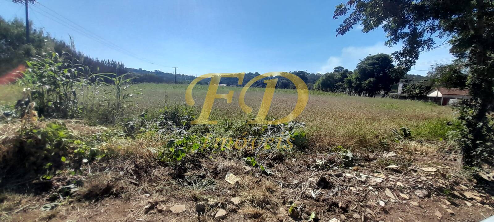 Prédio Inteiro - Foto 6