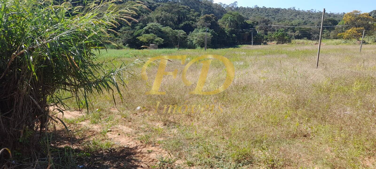 Prédio Inteiro - Foto 7