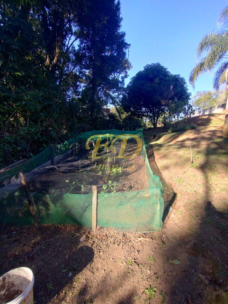 Chácara, 3 quartos, 2500 m² - Foto 10