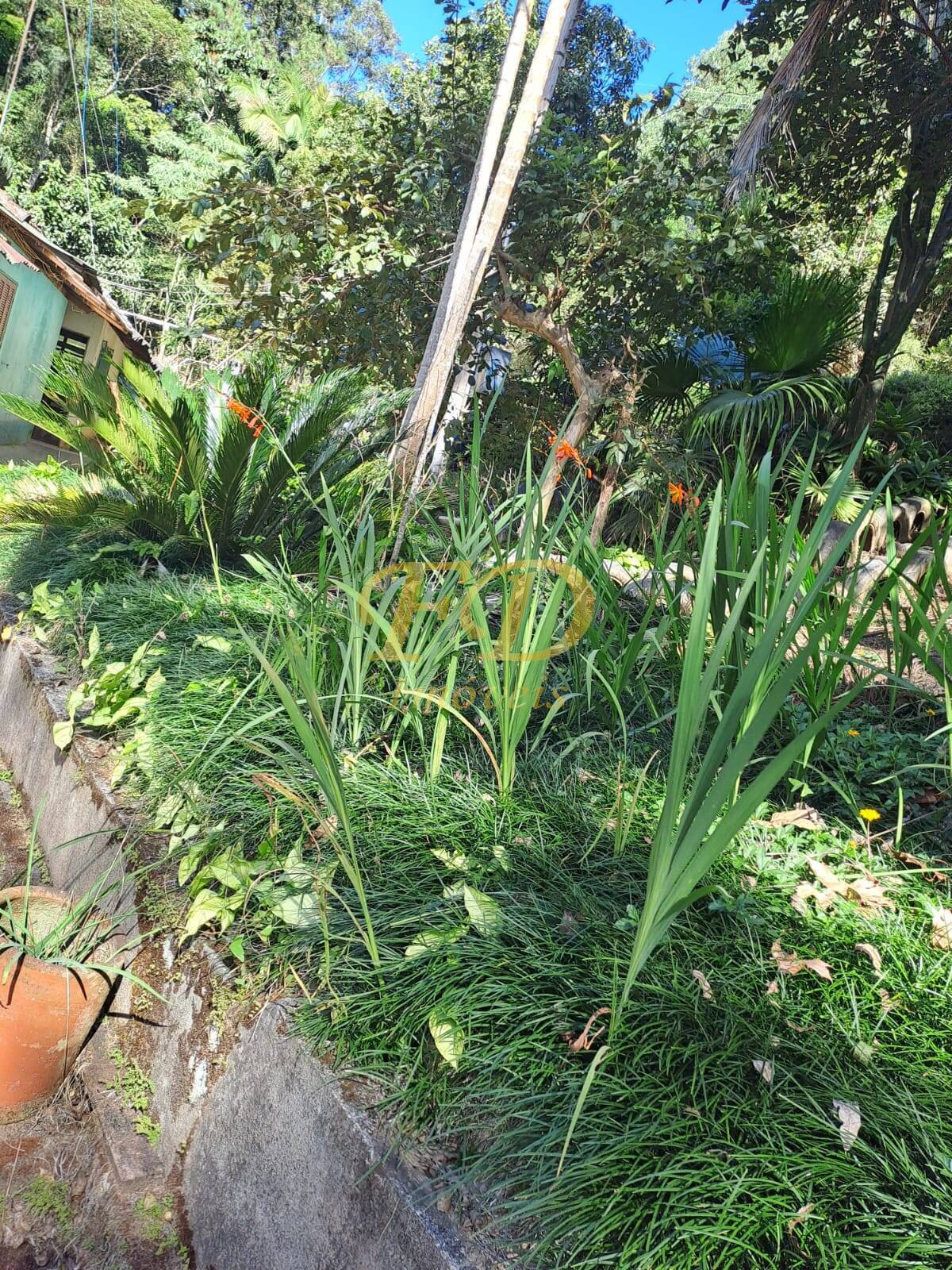 Chácara, 4 quartos, 4000 m² - Foto 4