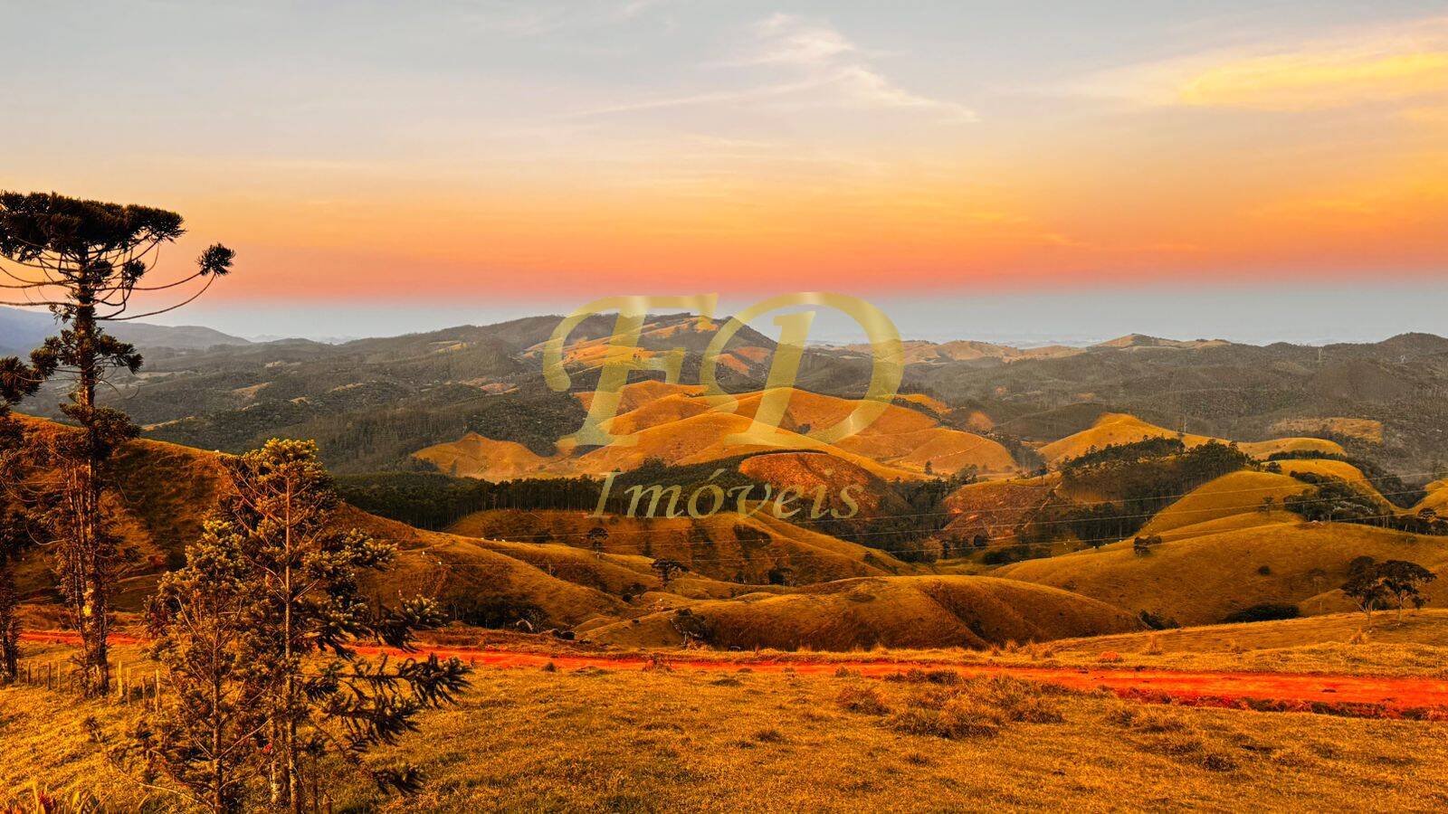 Terreno, 3 hectares - Foto 1