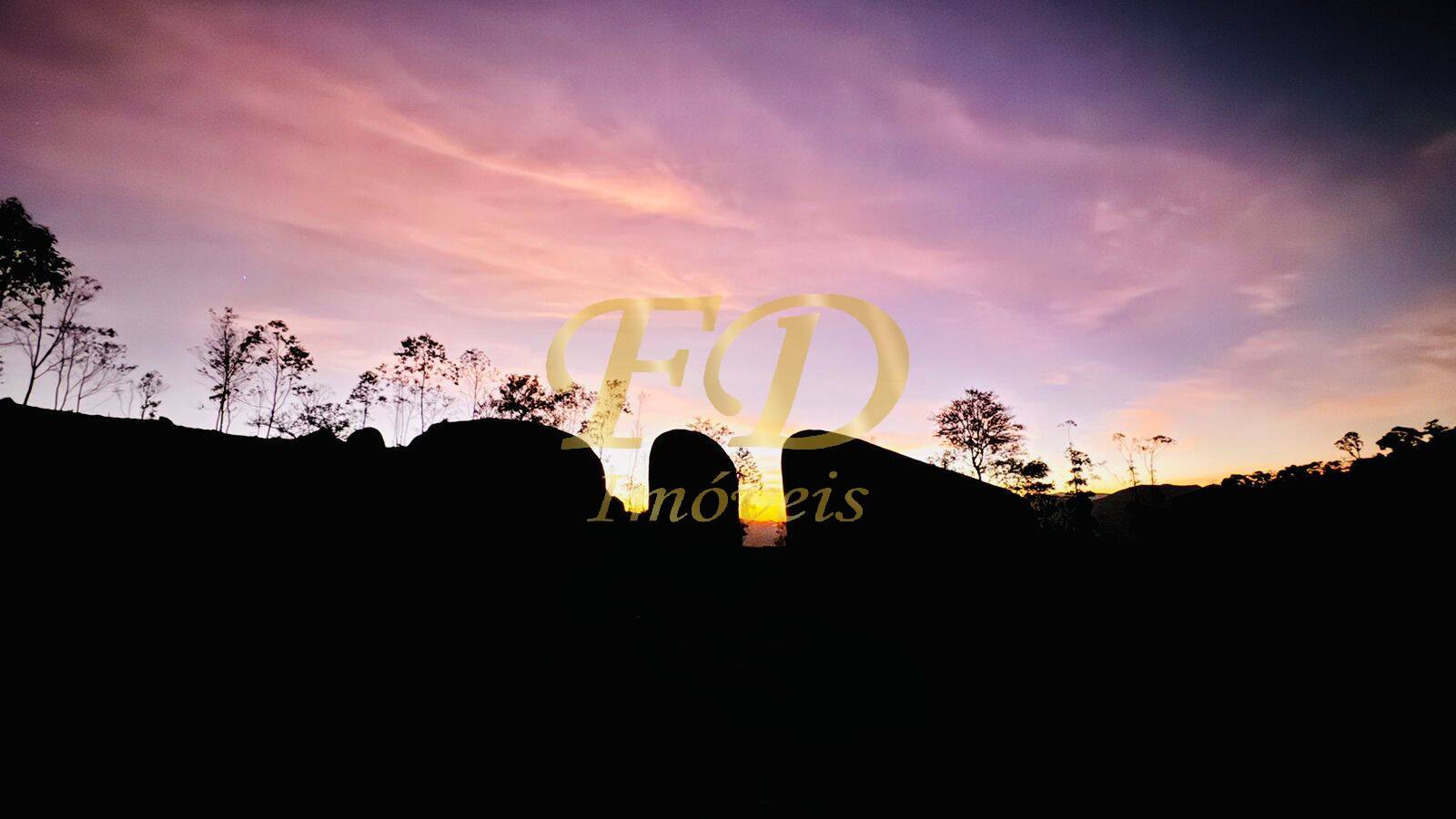 Terreno, 3 hectares - Foto 4