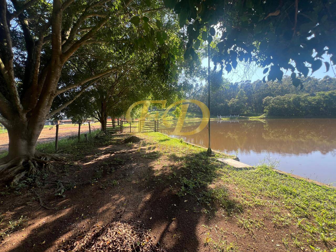 Chácara, 10 hectares - Foto 3