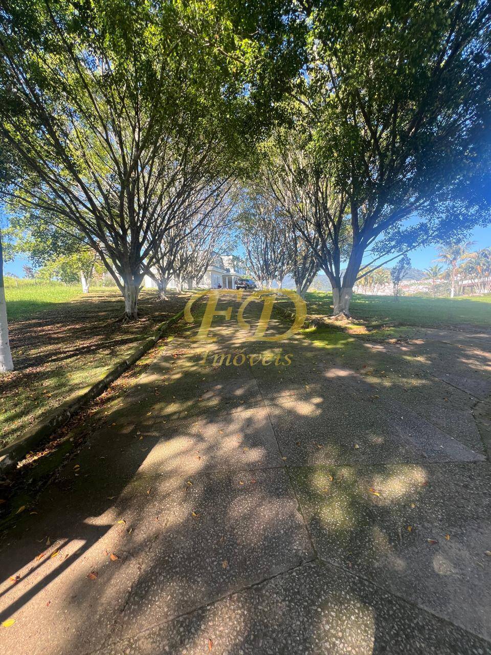 Chácara, 10 hectares - Foto 2