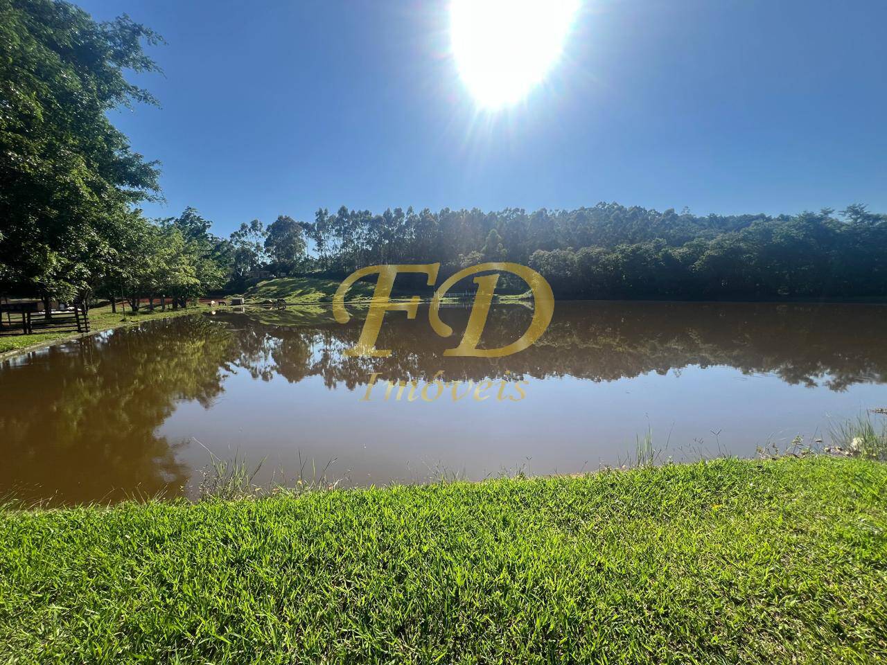 Chácara, 10 hectares - Foto 5