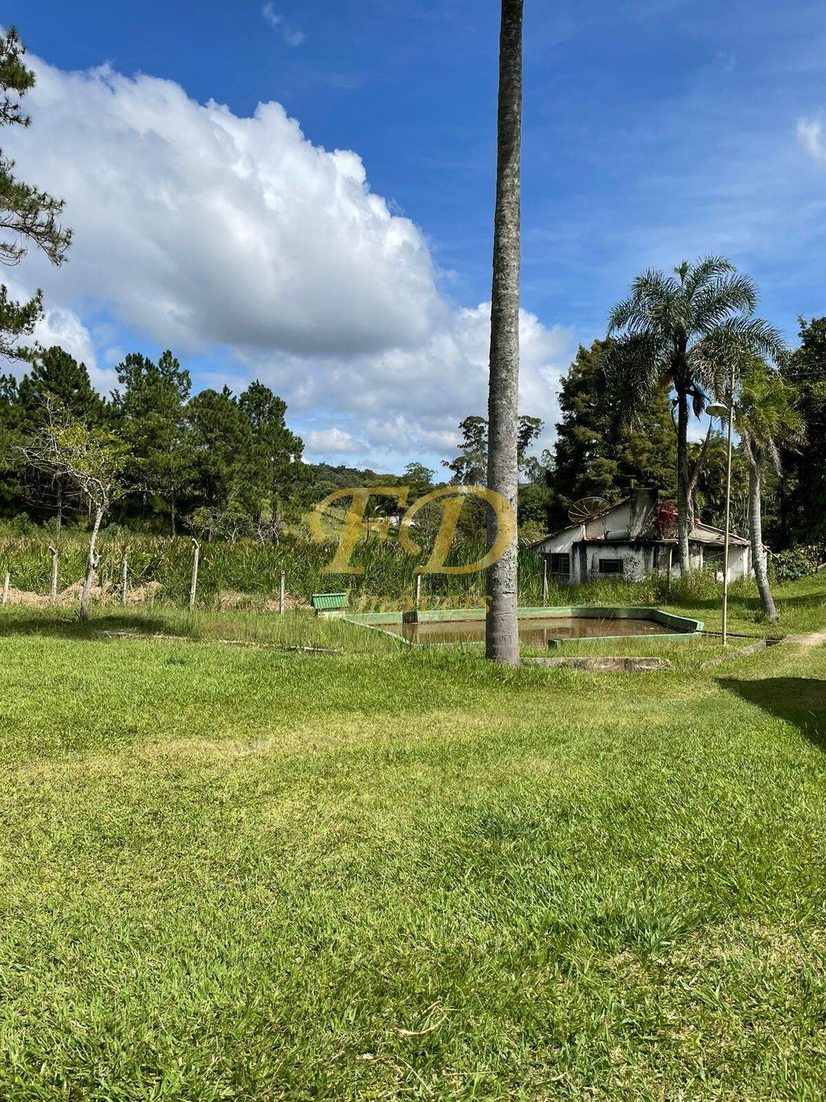 Sítio, 3 quartos, 4 hectares - Foto 3