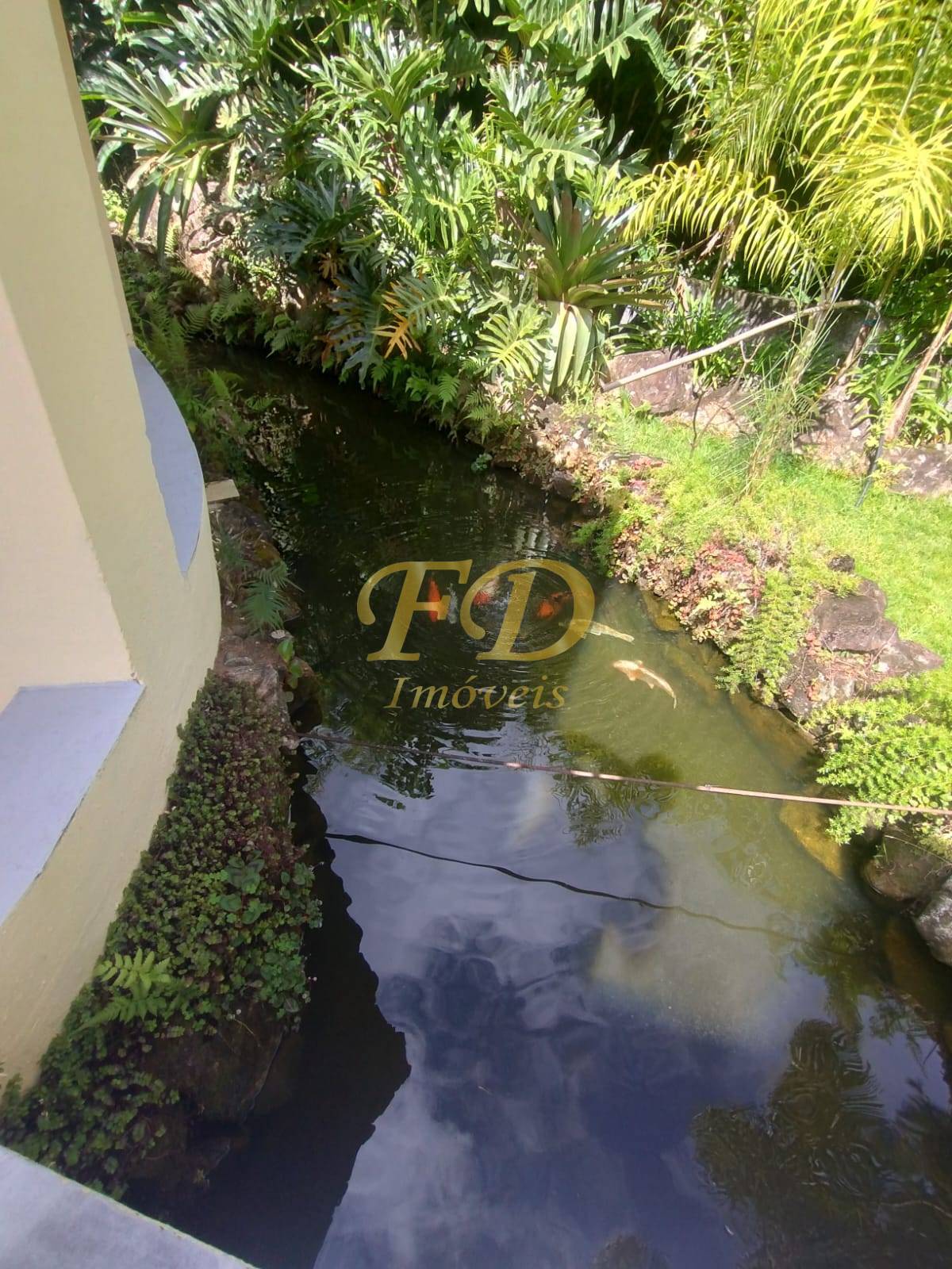 Chácara, 4 quartos, 7000 m² - Foto 3