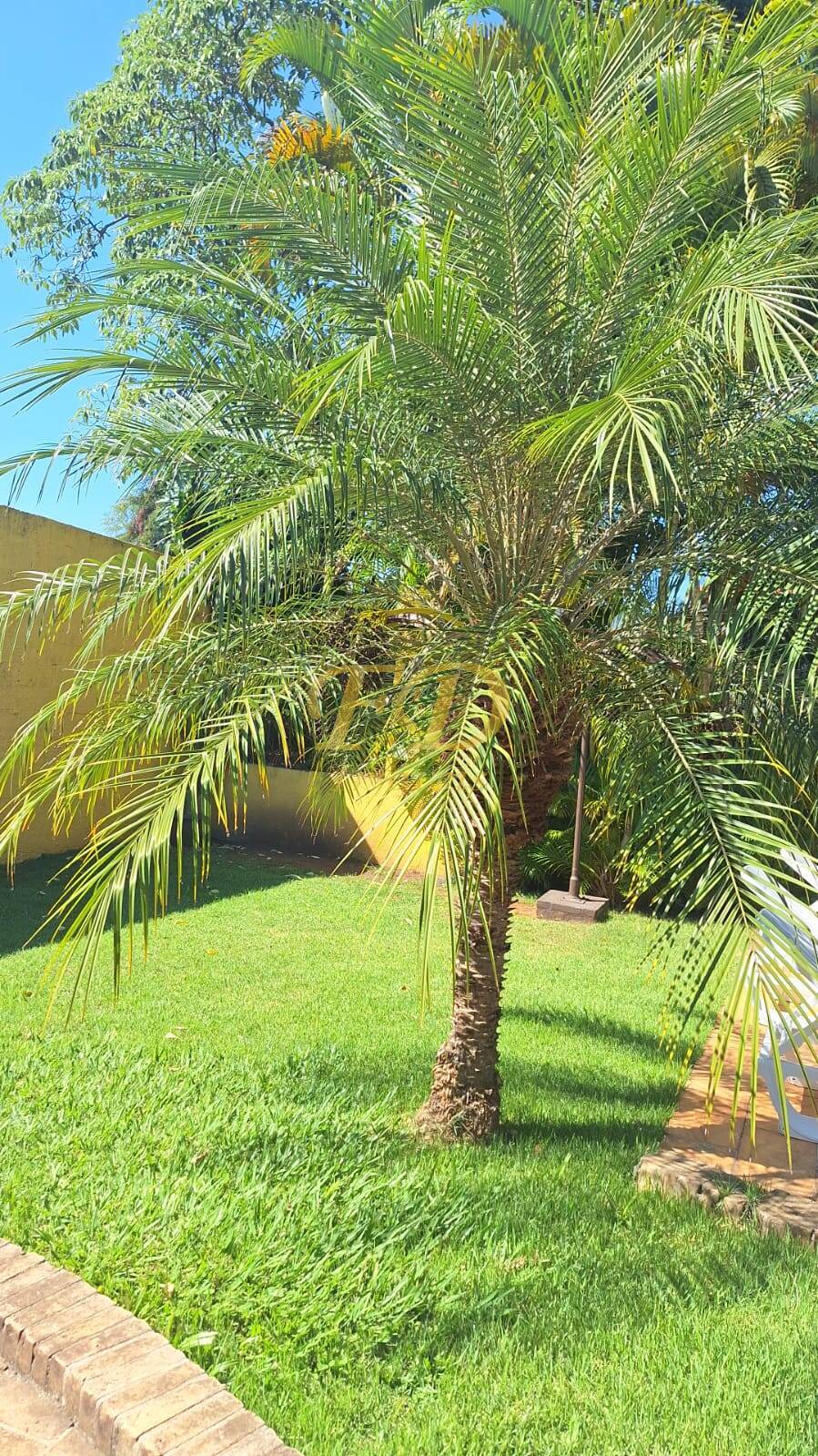 Chácara, 4 quartos, 1000 m² - Foto 4