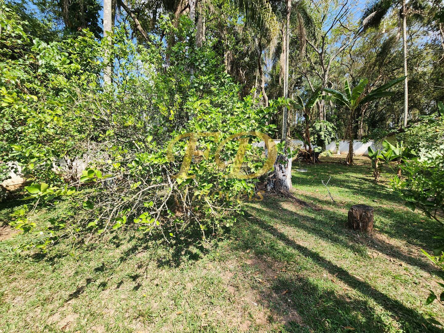 Casa, 4 quartos, 233 m² - Foto 27