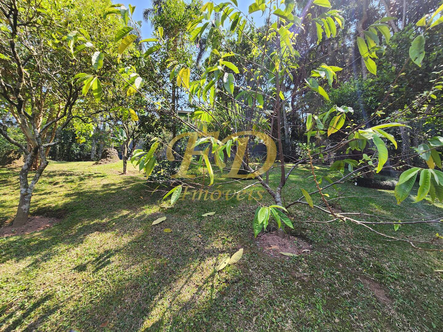 Casa, 3 quartos, 171 m² - Foto 39