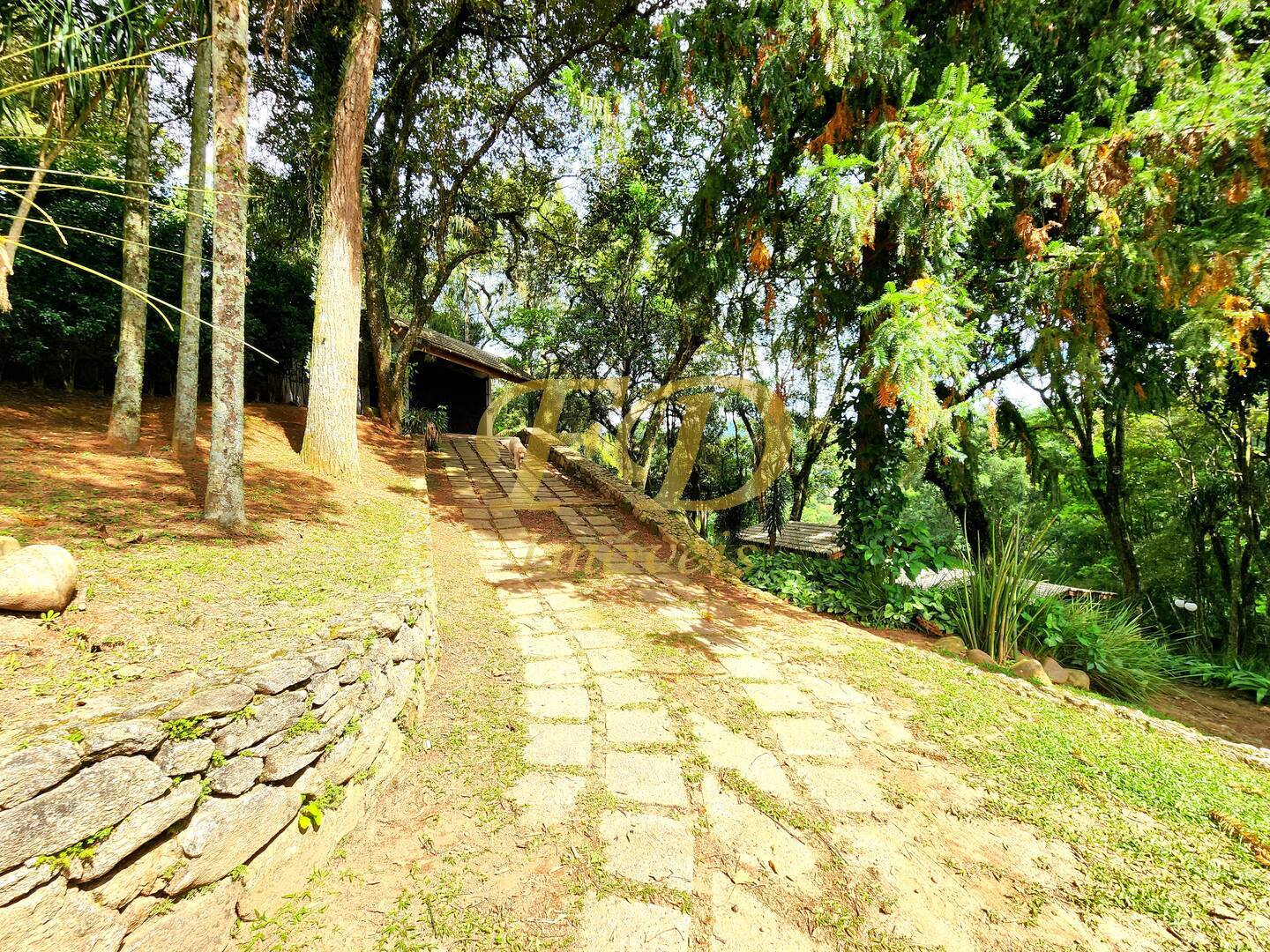 Casa, 4 quartos, 600 m² - Foto 4