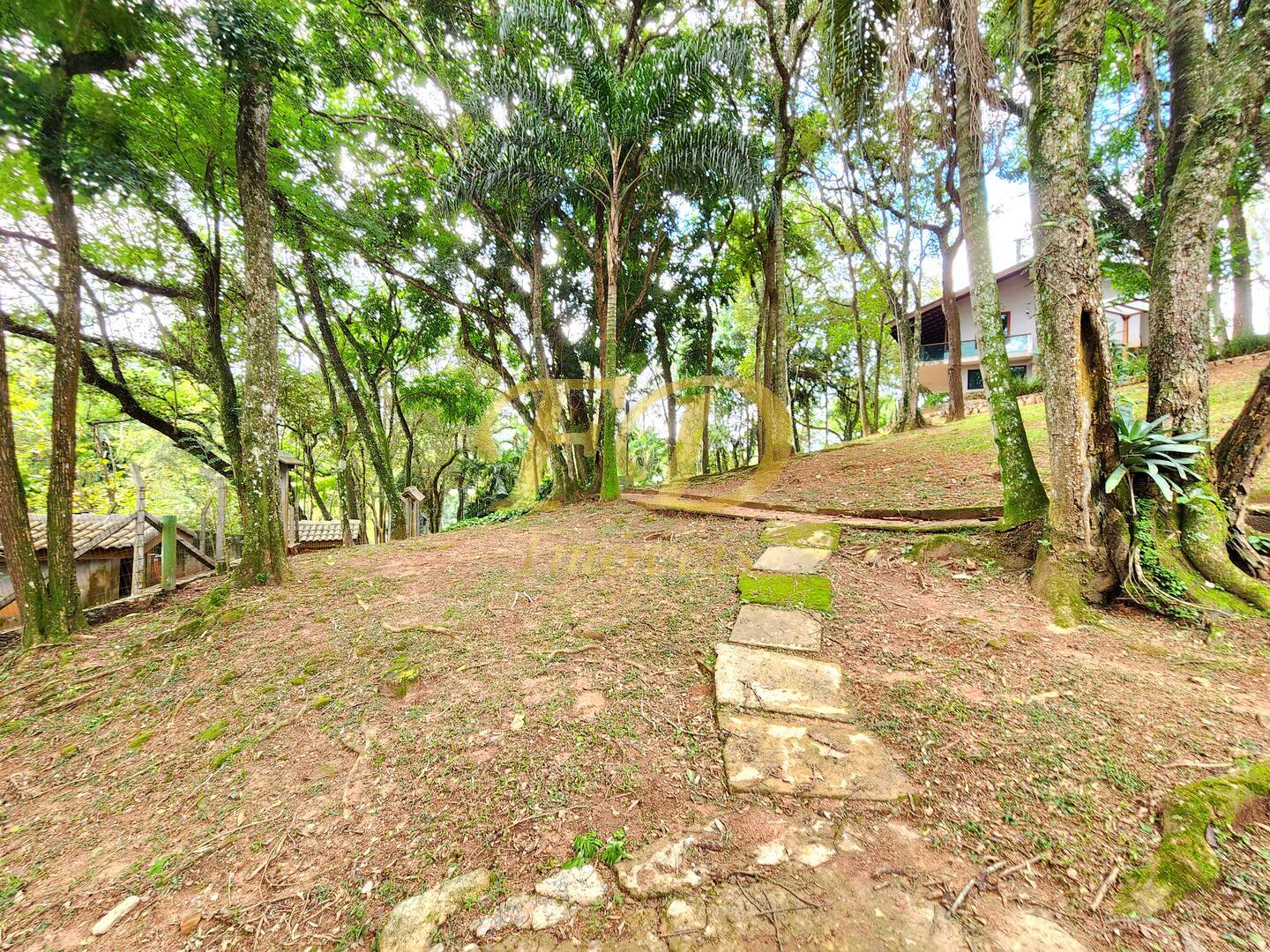 Casa, 4 quartos, 600 m² - Foto 47