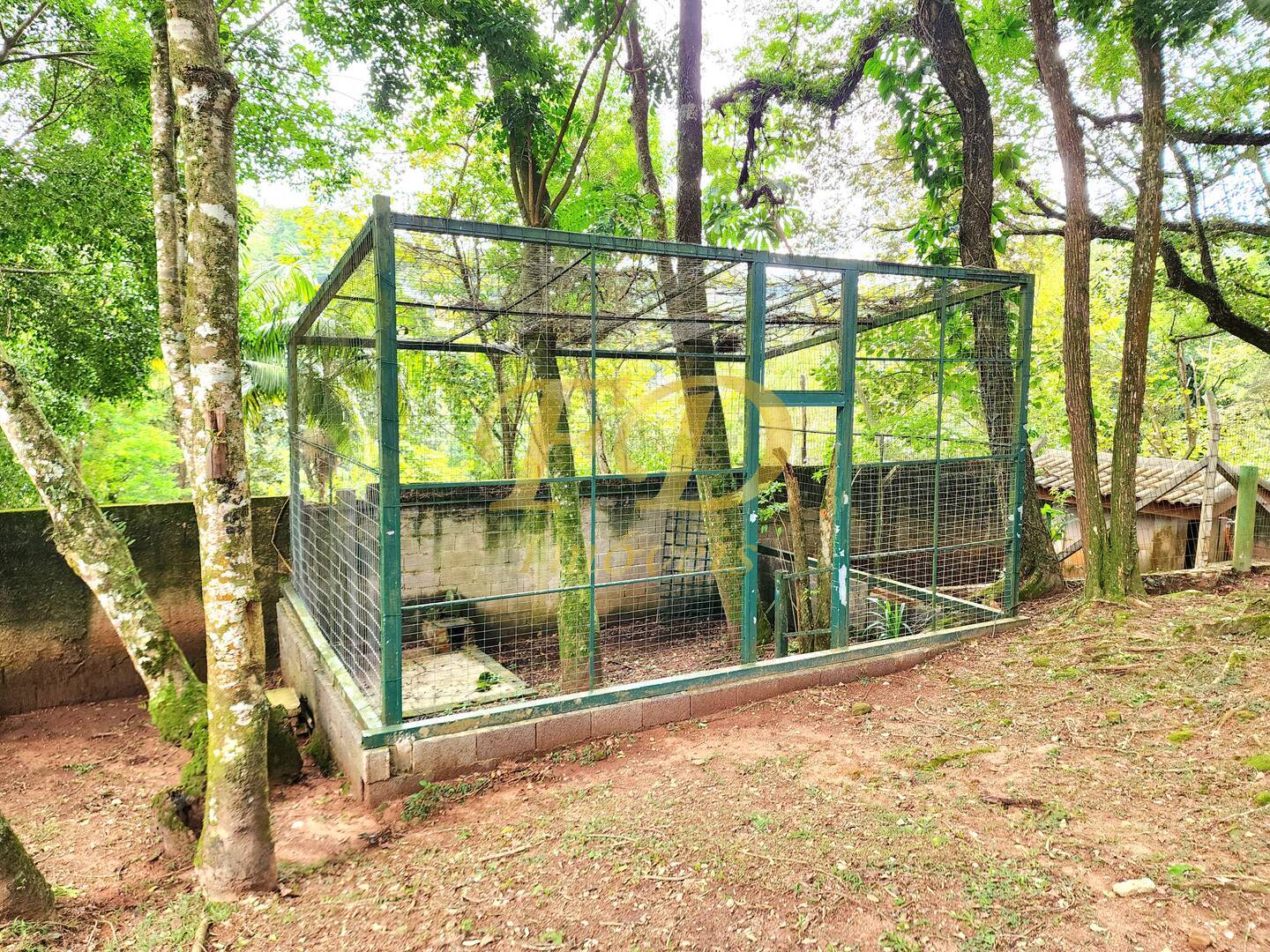 Casa, 4 quartos, 600 m² - Foto 55