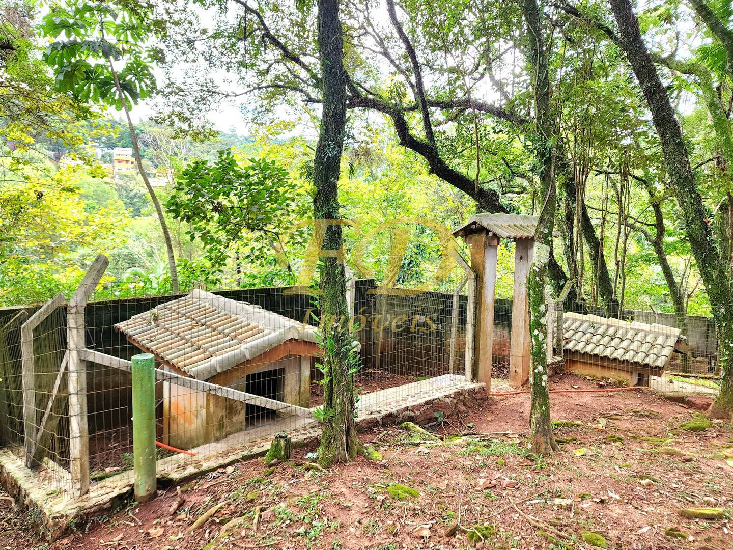 Casa, 4 quartos, 600 m² - Foto 56