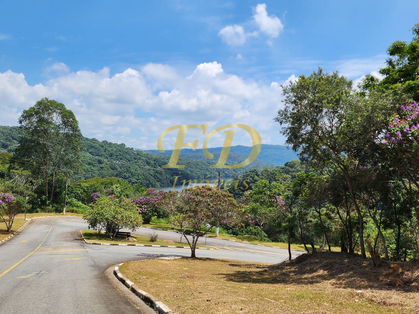 Casa, 4 quartos, 325 m² - Foto 62
