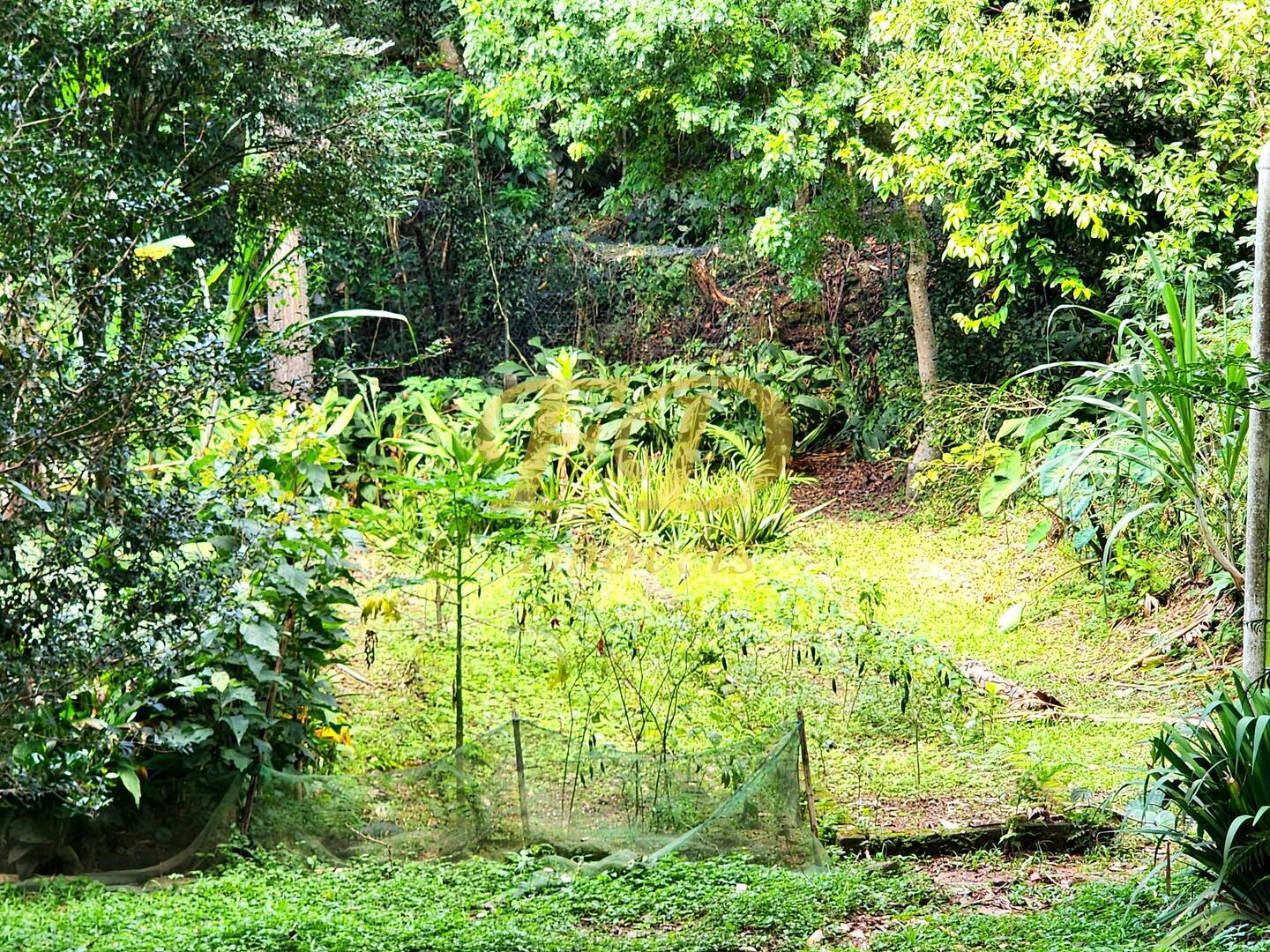 Casa, 7 quartos, 235 m² - Foto 61