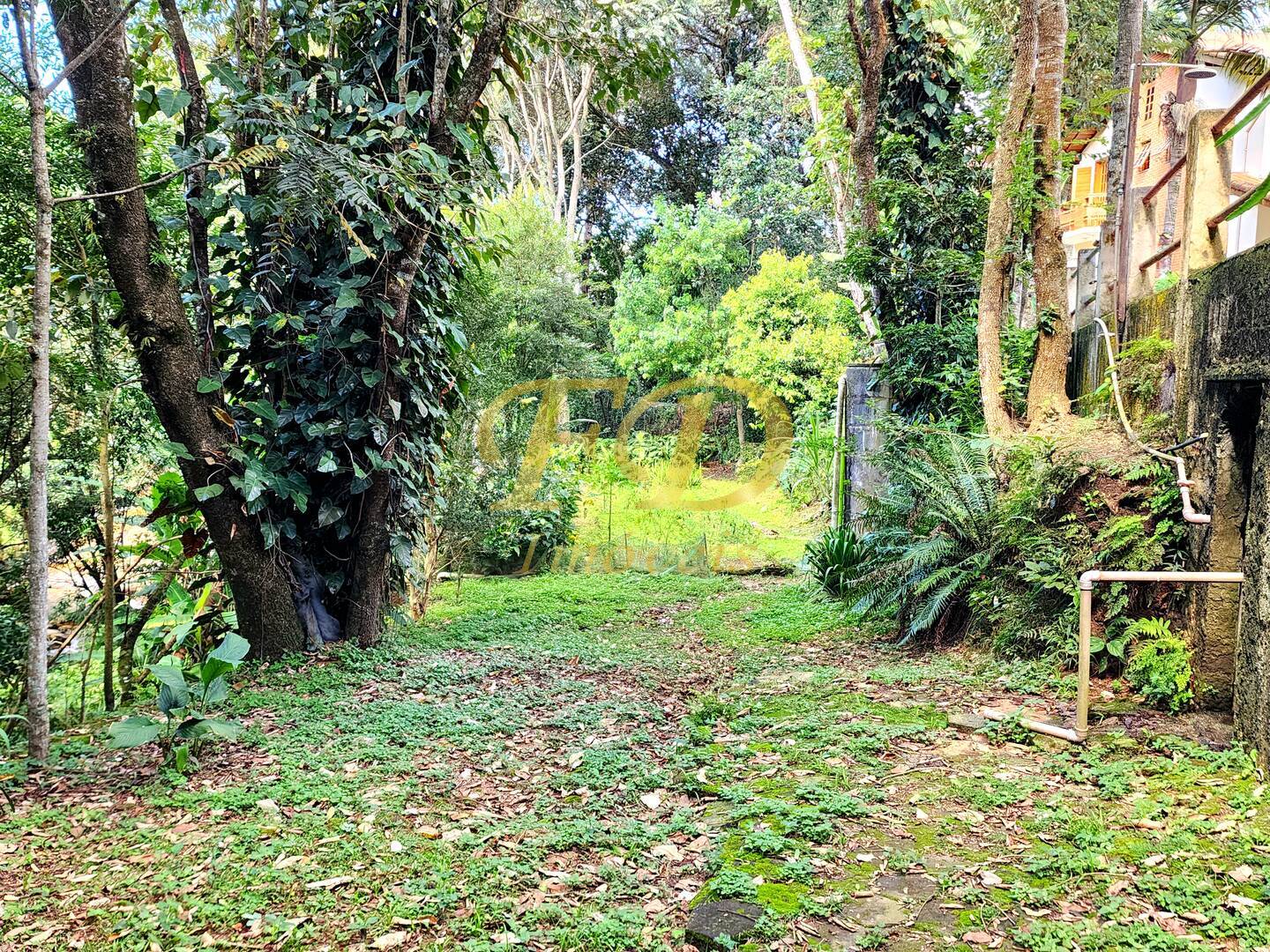 Casa, 7 quartos, 235 m² - Foto 62