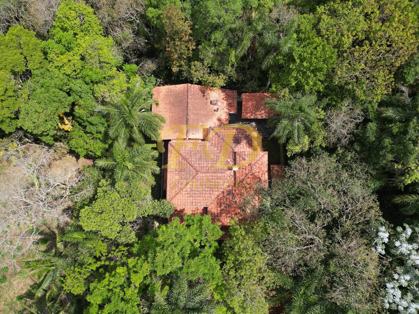 Casa, 4 quartos, 219 m² - Foto 18
