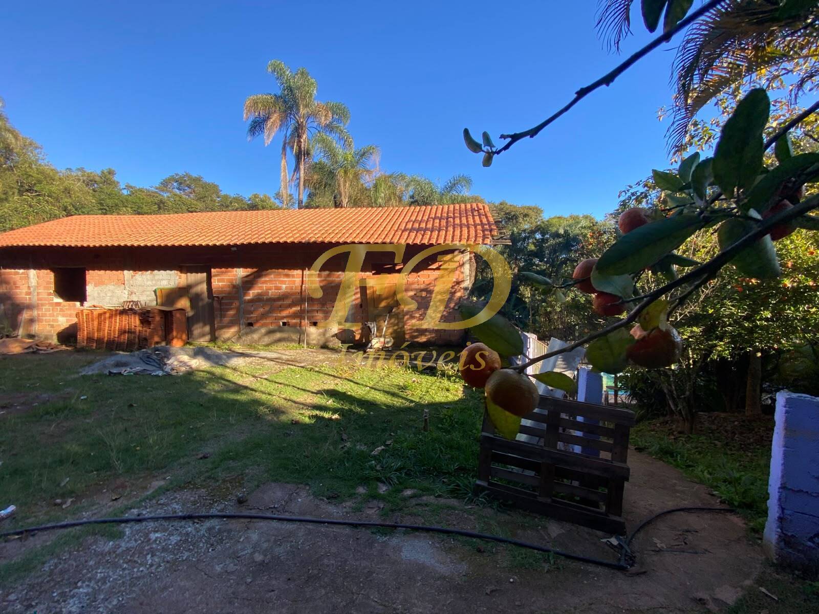 Sítio, 2 quartos, 1450 m² - Foto 23