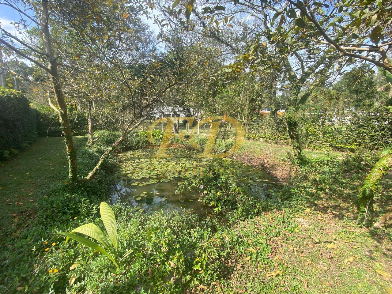 Sítio, 4 quartos, 3000 m² - Foto 11
