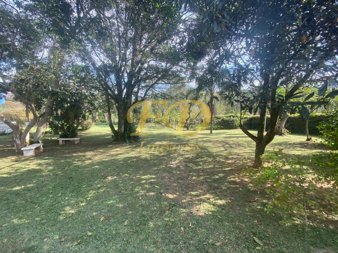 Sítio, 4 quartos, 3000 m² - Foto 21