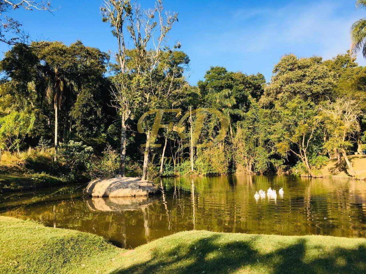 Sítio, 5 quartos, 7 hectares - Foto 7