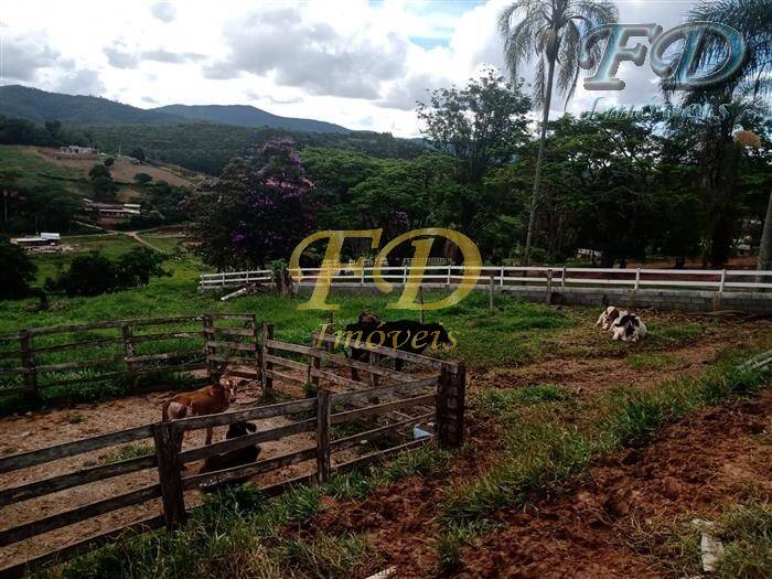 Sítio à venda com 5 quartos, 1000m² - Foto 8