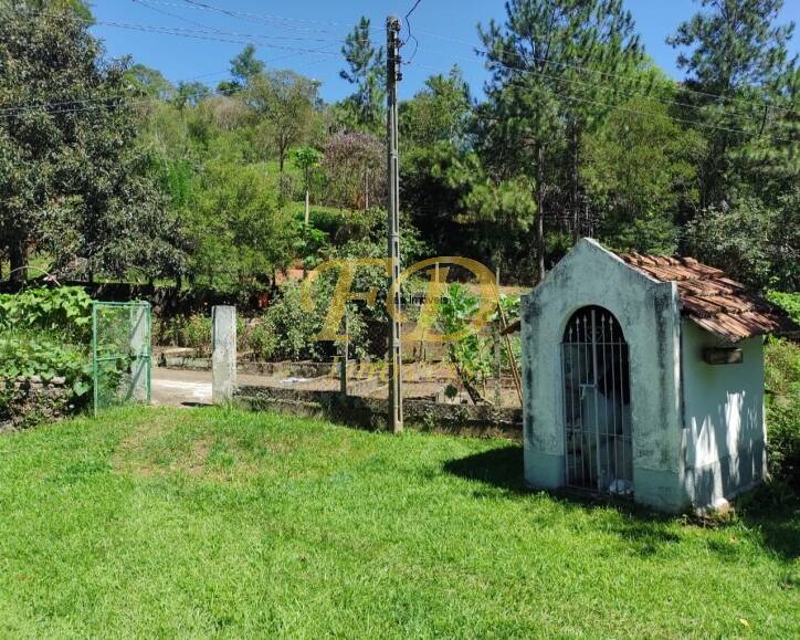 Sítio à venda com 3 quartos, 800m² - Foto 11