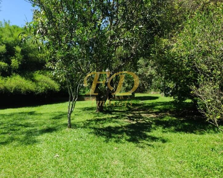 Sítio à venda com 3 quartos, 800m² - Foto 16