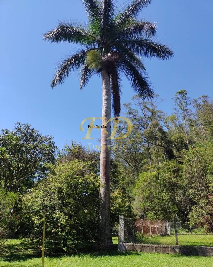 Sítio à venda com 3 quartos, 800m² - Foto 23