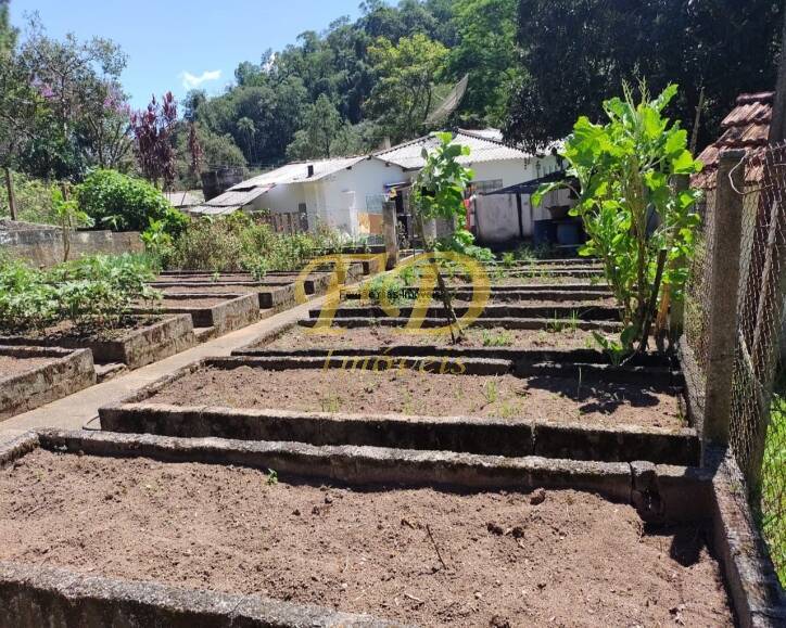 Sítio à venda com 3 quartos, 800m² - Foto 28