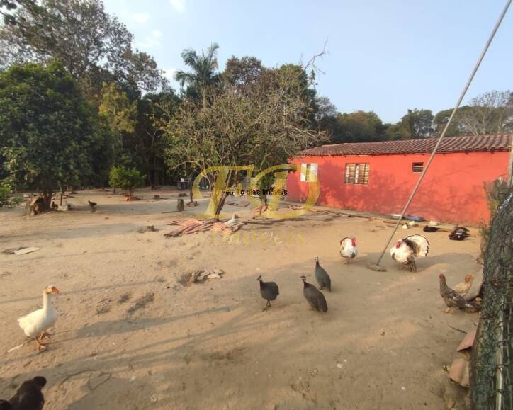 Chácara, 4 quartos, 2200 m² - Foto 4