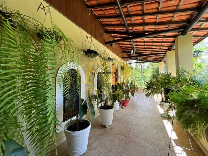 Sítio, 4 quartos, 2 hectares - Foto 3