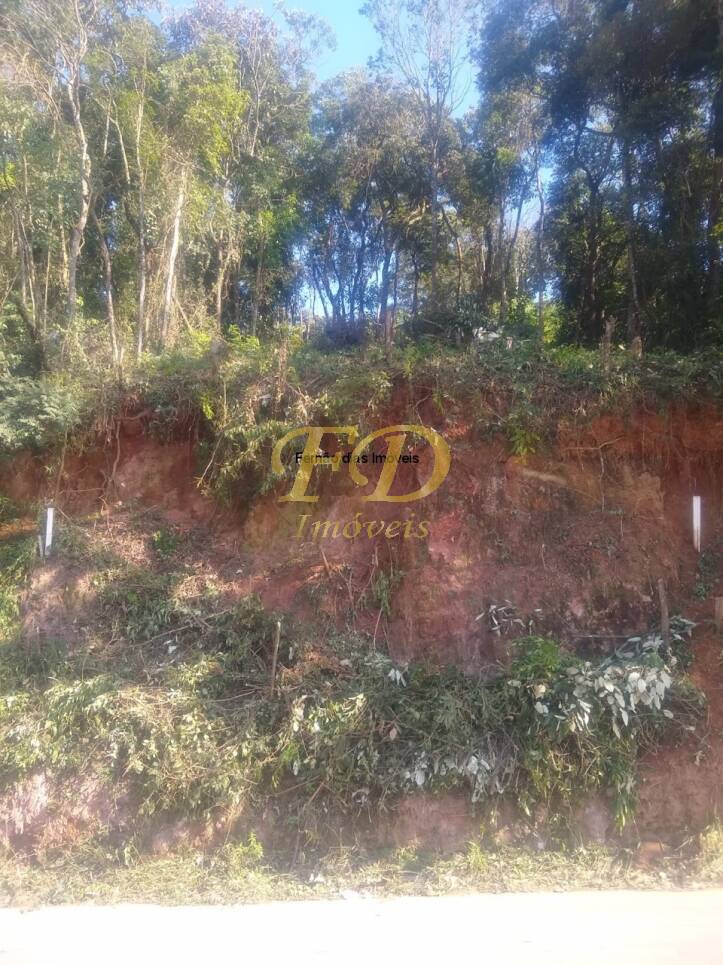 Terreno, 250 m² - Foto 4