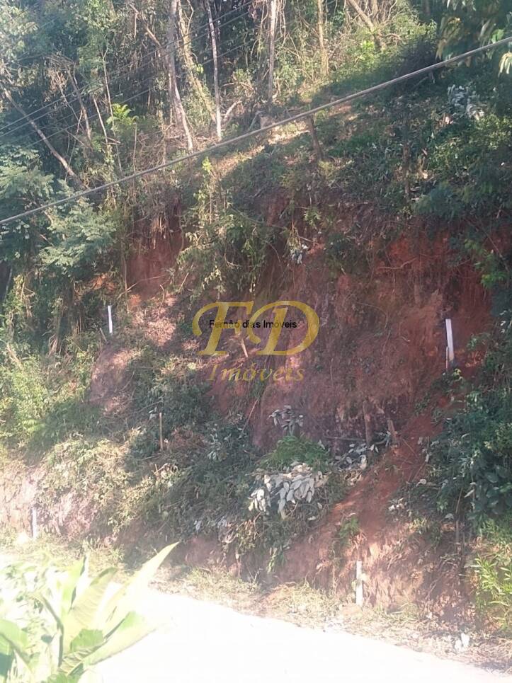 Terreno, 250 m² - Foto 6