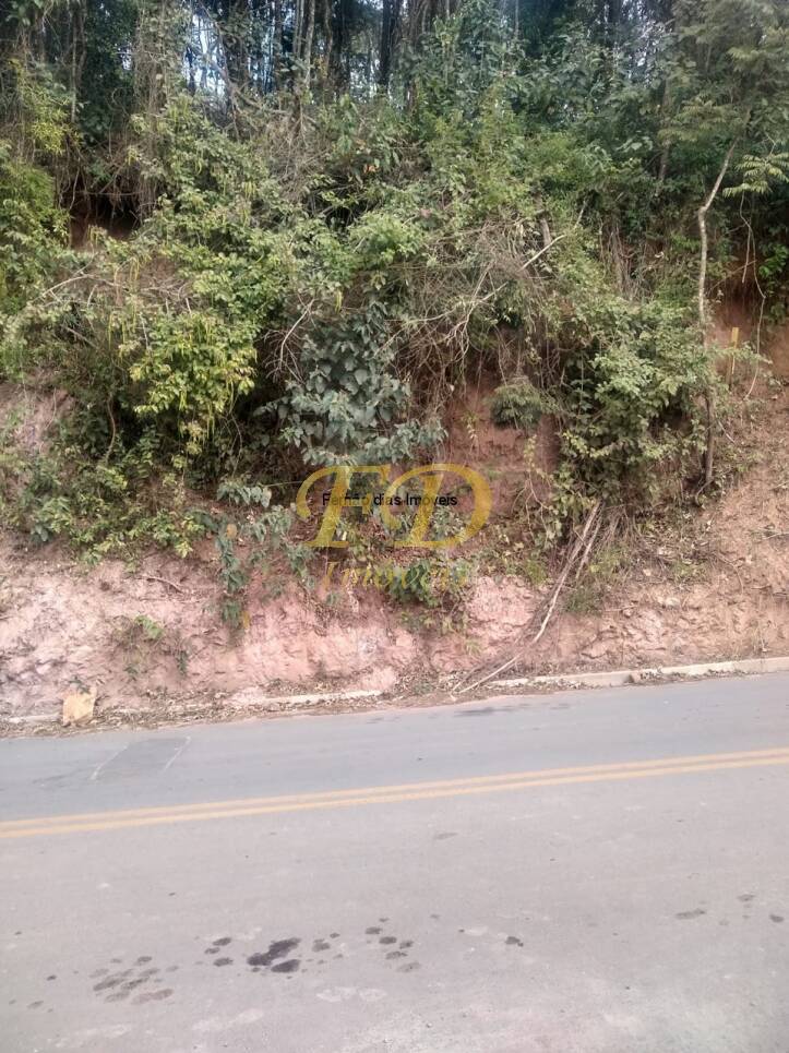 Terreno, 250 m² - Foto 8