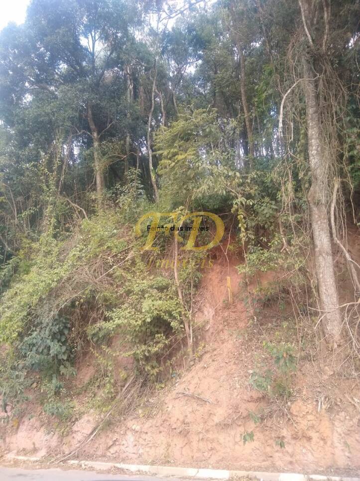 Terreno, 250 m² - Foto 10