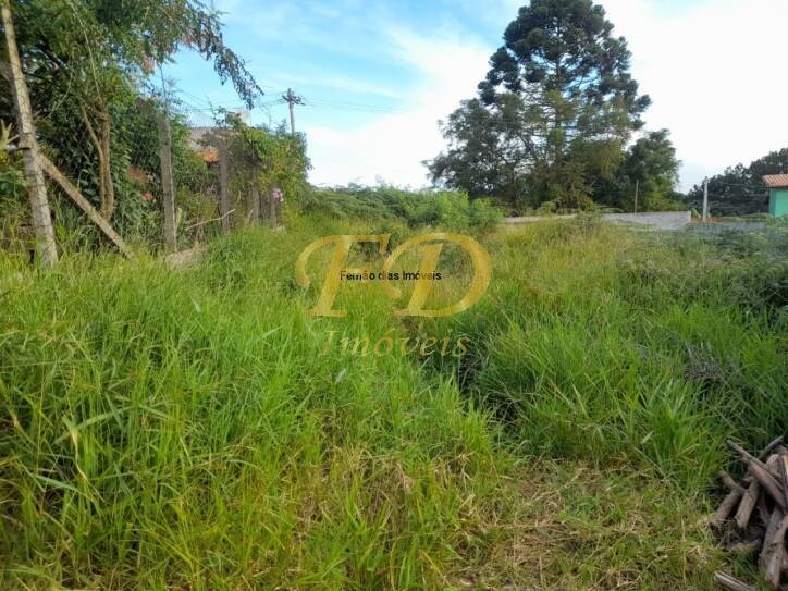 Terreno, 290 m² - Foto 3